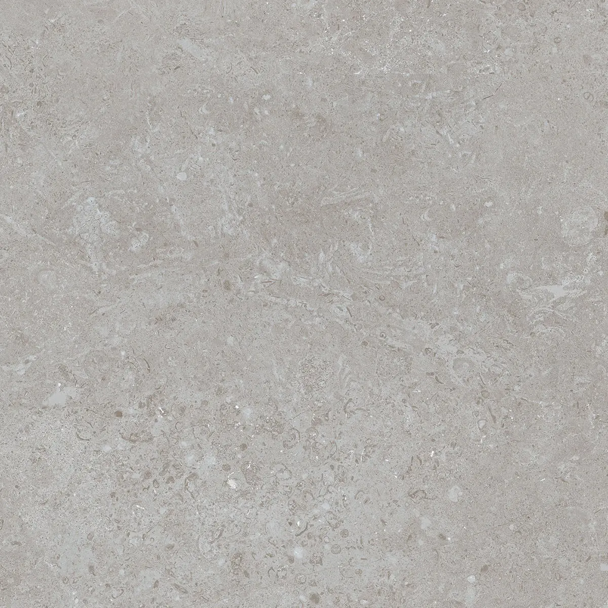 BATELA-GRIS-60X120sq Batela Gris 120×120 Rect. Gres - obrazek 1
