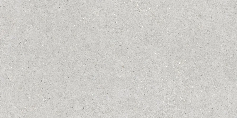 00000007781__ar20 Somport Light Mat 30×60 Rect. Gres - obrazek 1