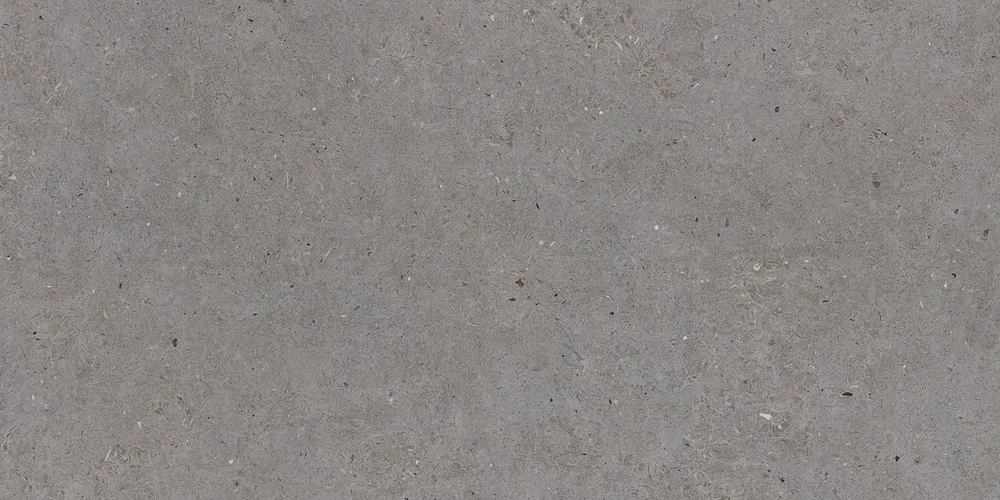 00000007782__ar20 Somport Grey Mat 30×60 Rect. Gres - obrazek 1